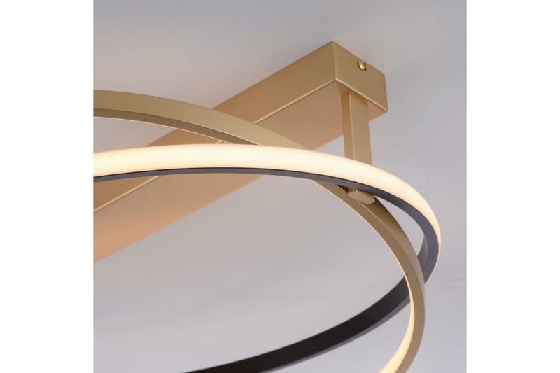 Q-Beluga Paul Neuhaus Taklampa - Brass - Belysning - Inomhusbelysning & lampor - Taklampor & takbelysning - Plafond