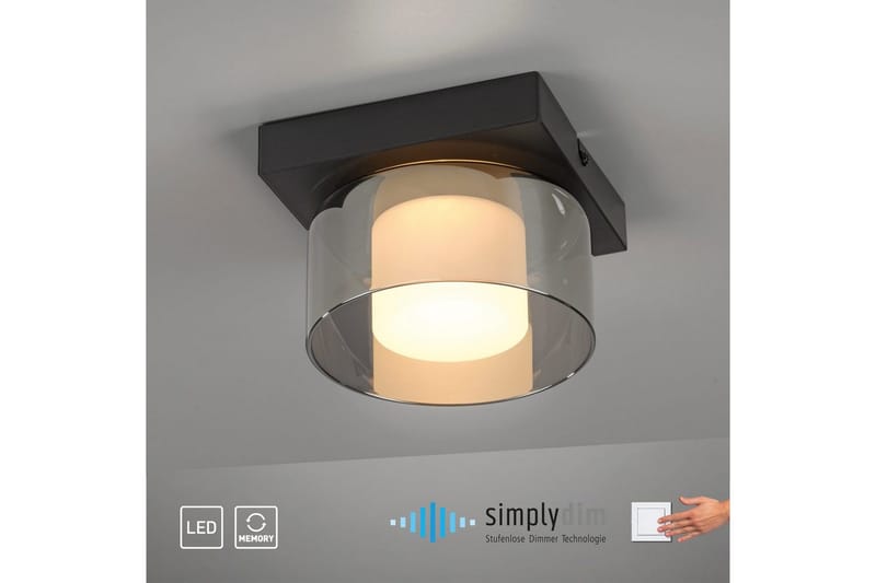 Rika Paul Neuhaus Taklampa - Black - Belysning - Inomhusbelysning & lampor - Taklampor & takbelysning - Plafond