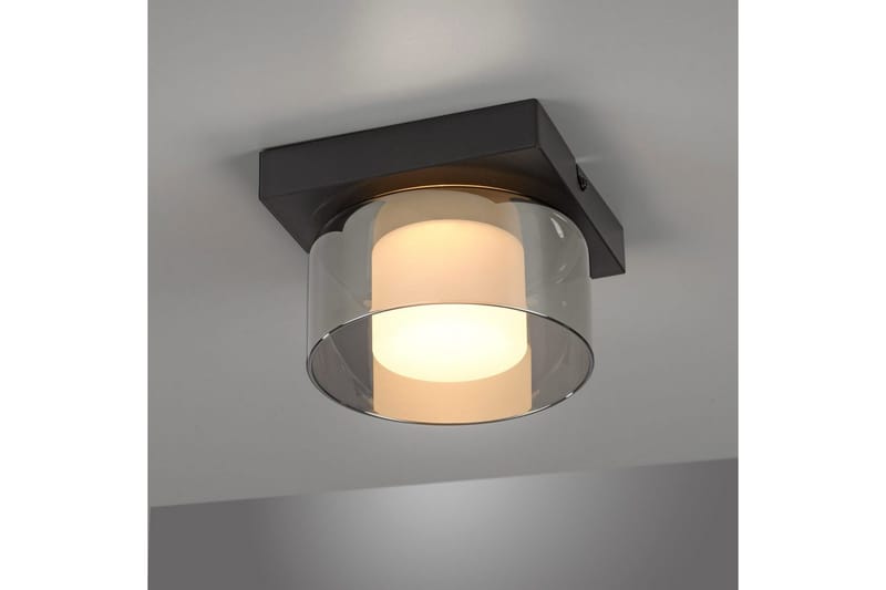 Rika Paul Neuhaus Taklampa - Black - Belysning - Inomhusbelysning & lampor - Taklampor & takbelysning - Plafond