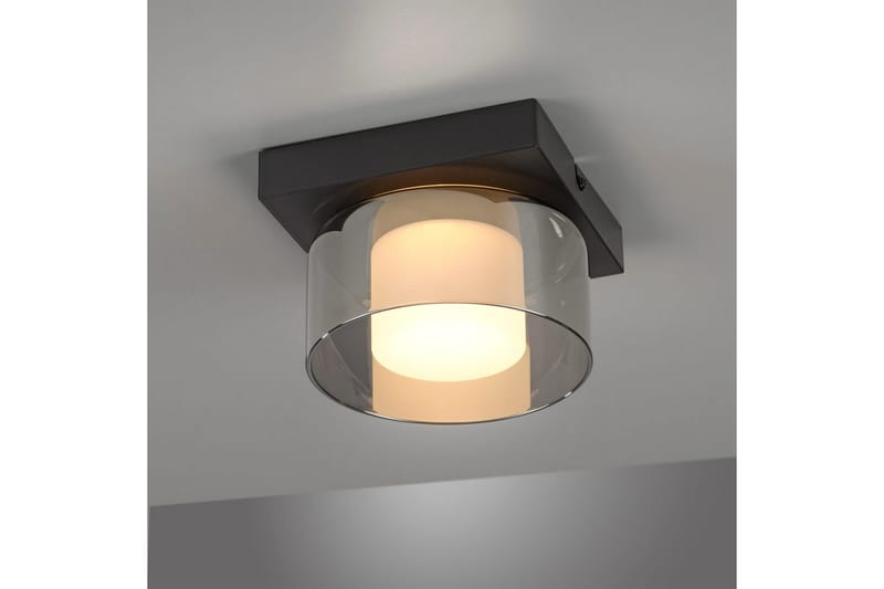 Rika Paul Neuhaus Taklampa - Black - Belysning - Inomhusbelysning & lampor - Taklampor & takbelysning - Plafond