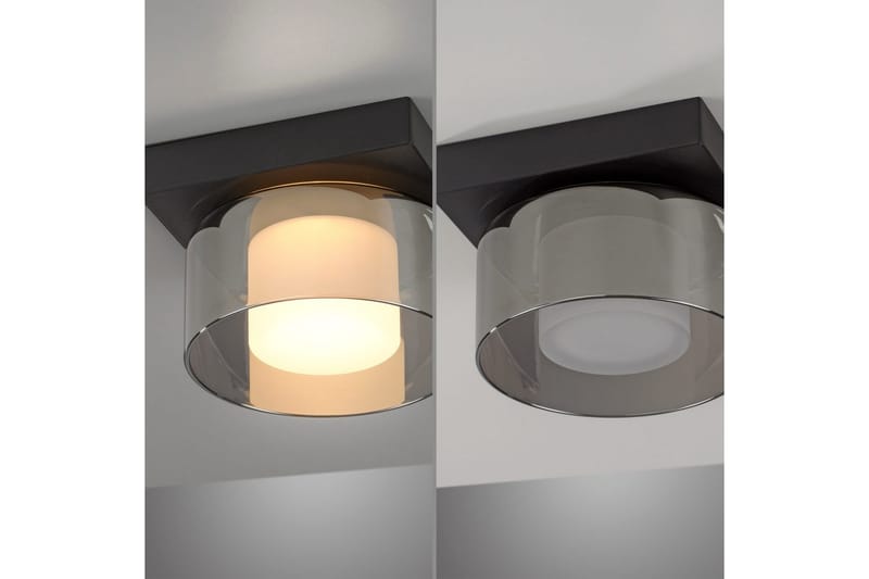 Rika Paul Neuhaus Taklampa - Black - Belysning - Inomhusbelysning & lampor - Taklampor & takbelysning - Plafond