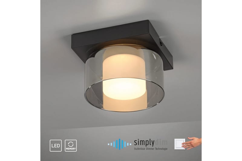 Rika Paul Neuhaus Taklampa - Black - Belysning - Inomhusbelysning & lampor - Taklampor & takbelysning - Plafond