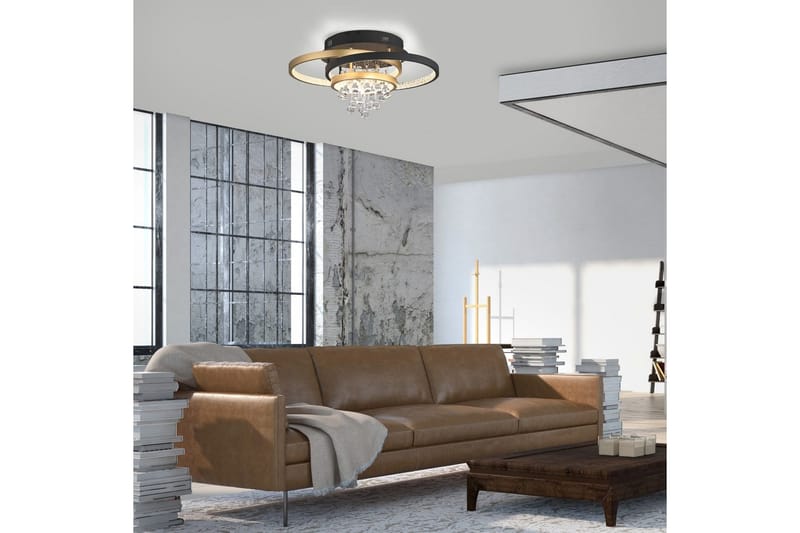 Rotazo Paul Neuhaus Taklampa - Black||Brass - Belysning - Inomhusbelysning & lampor - Taklampor & takbelysning - Plafond