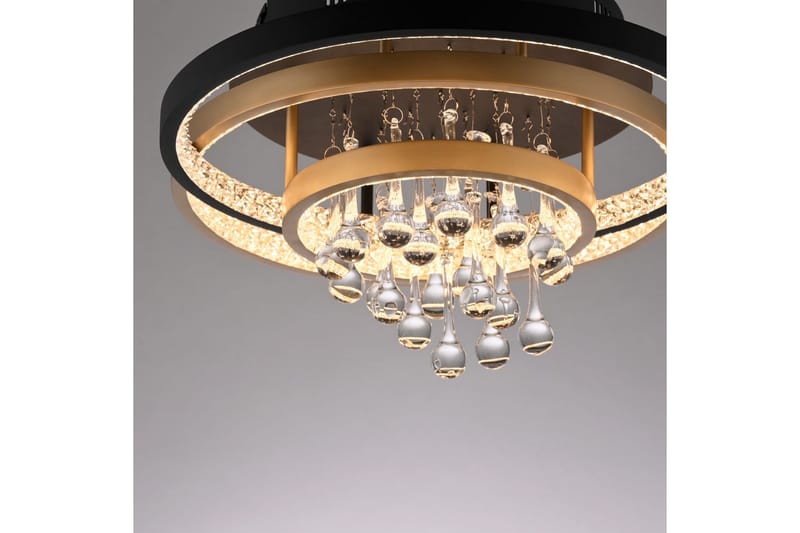 Rotazo Paul Neuhaus Taklampa - Black||Brass - Belysning - Inomhusbelysning & lampor - Taklampor & takbelysning - Plafond