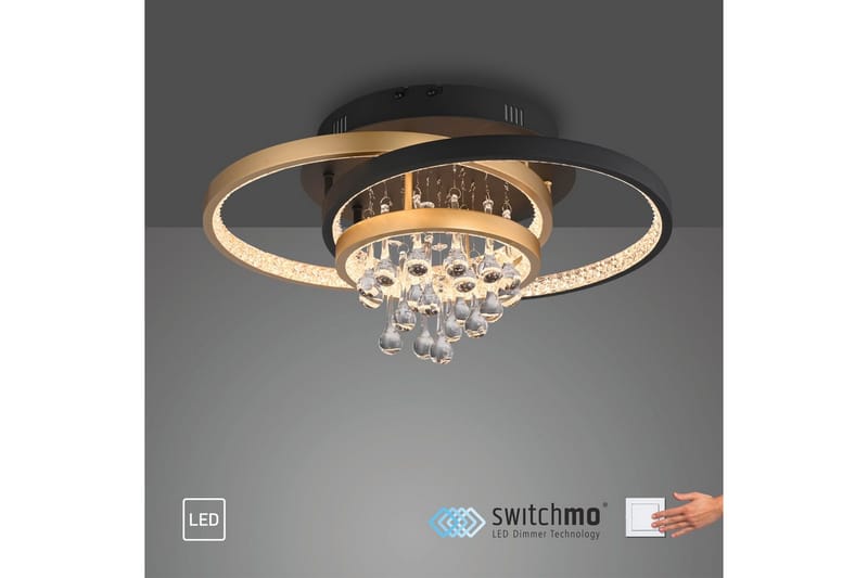 Rotazo Paul Neuhaus Taklampa - Black||Brass - Belysning - Inomhusbelysning & lampor - Taklampor & takbelysning - Plafond