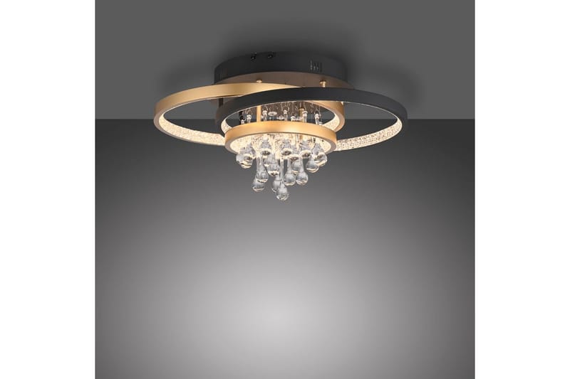 Rotazo Paul Neuhaus Taklampa - Black||Brass - Belysning - Inomhusbelysning & lampor - Taklampor & takbelysning - Plafond