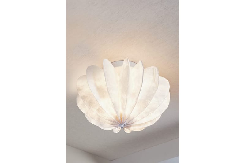 Tak-/Vägglampa Dalia - Belysning - Inomhusbelysning & lampor - Taklampor & takbelysning - Plafond