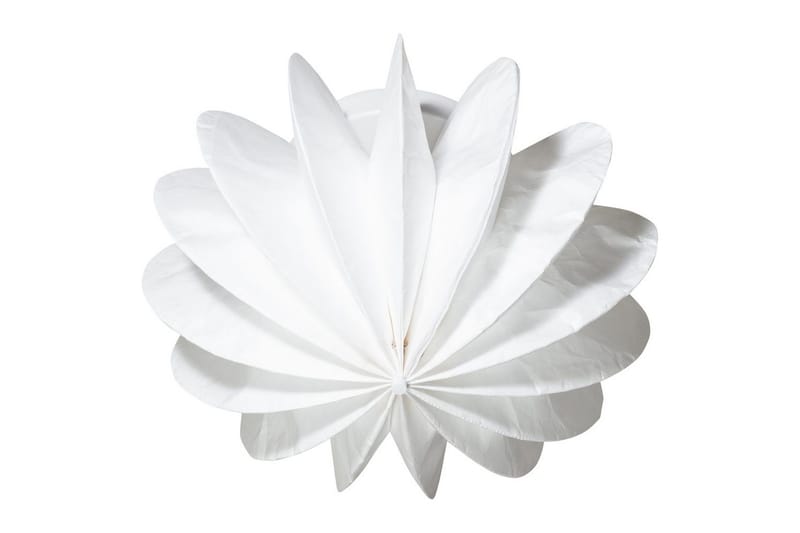 Tak-/Vägglampa Dalia - Belysning - Inomhusbelysning & lampor - Taklampor & takbelysning - Plafond