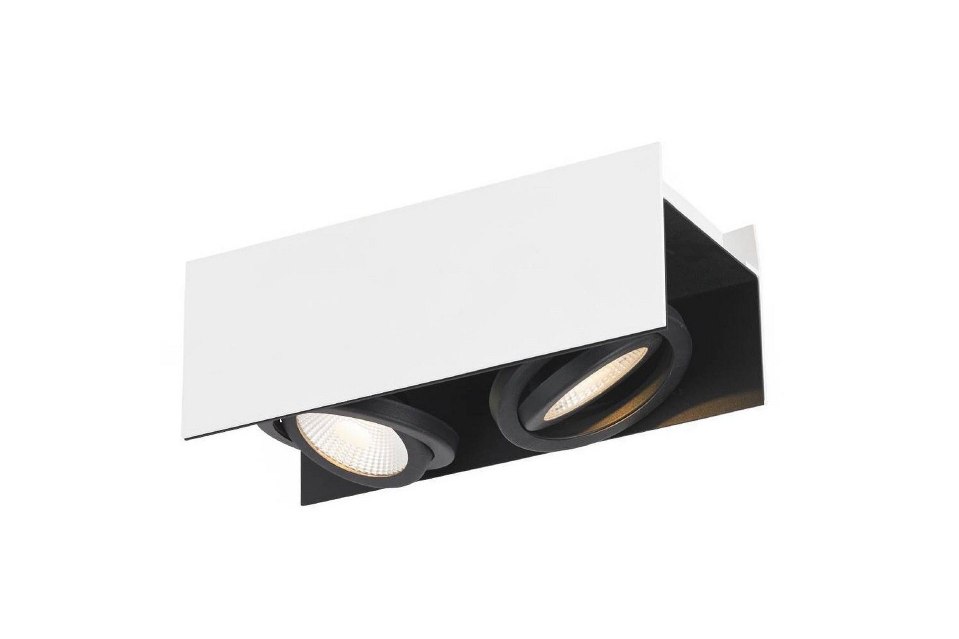Takbelysning Eglo Vidago Vit/Svart 2 Lampor - 2 Lampor
