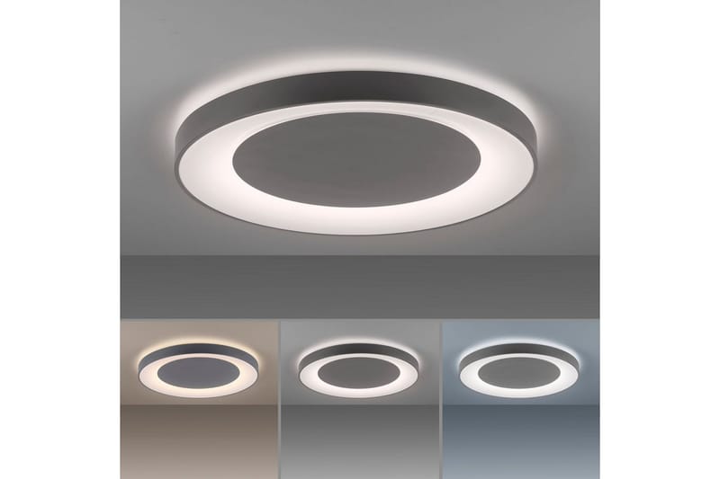 Taklampa Anika - Grå - Belysning - Inomhusbelysning & lampor - Taklampor & takbelysning - Plafond