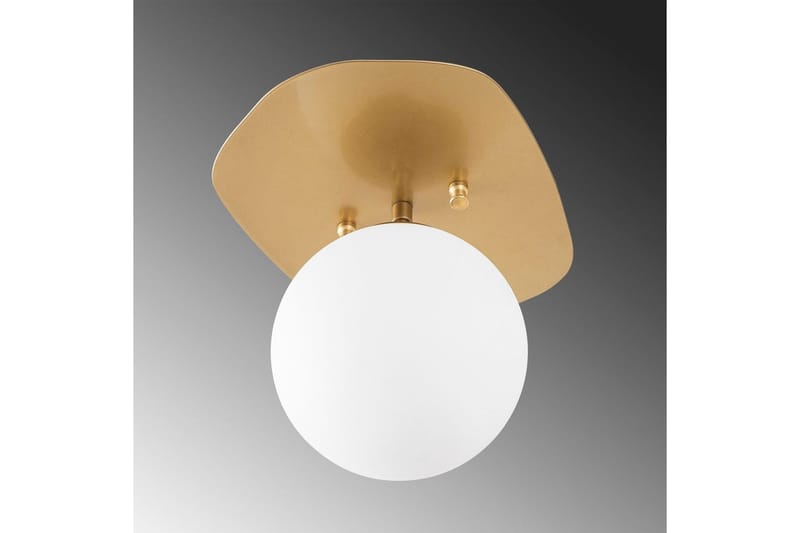 Taklampa Ariofield (20 x 25 x 25 cm) Rany - Rany - Belysning - Inomhusbelysning & lampor - Taklampor & takbelysning - Plafond