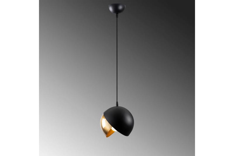 Taklampa Dalenor Svart / Rany Enkeluttag - Enkeluttag - Belysning - Inomhusbelysning & lampor - Taklampor & takbelysning - Kökslampa & pendellampa