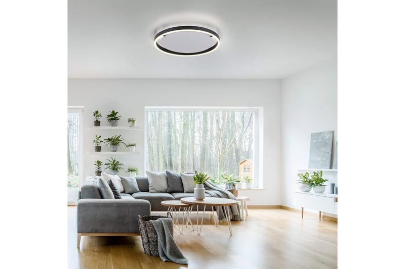Taklampa Ritus - 39,3x5,3x39,3 cm, Antracit - Belysning - Inomhusbelysning & lampor - Taklampor & takbelysning - Plafond