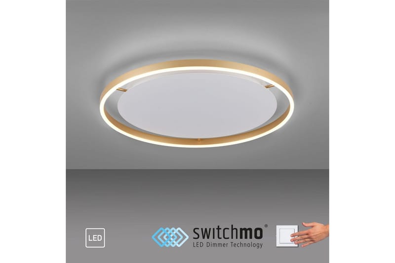 Taklampa Ritus - 58,5x5,3x58,5 cm, Matt mässing - Belysning - Inomhusbelysning & lampor - Taklampor & takbelysning - Plafond