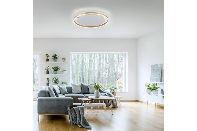 Taklampa Ritus - 58,5x5,3x58,5 cm, Matt mässing - Belysning - Inomhusbelysning & lampor - Taklampor & takbelysning - Plafond