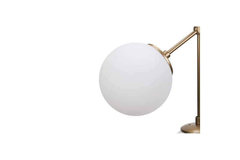 Taklampa Sudatoor Nexis Transparent - Transparent - Belysning - Inomhusbelysning & lampor - Taklampor & takbelysning - Kökslampa & pendellampa