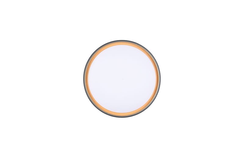 Taklampa TRIO Felis - Belysning - Inomhusbelysning & lampor - Taklampor & takbelysning - Plafond