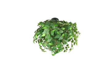 Taklampa TRIO Leavy 70 cm - 70 cm - Belysning - Inomhusbelysning & lampor - Taklampor & takbelysning - Plafond