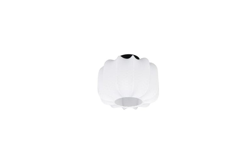 Taklampa TRIO Madeline 25 cm - 25 cm - Belysning - Inomhusbelysning & lampor - Taklampor & takbelysning - Plafond