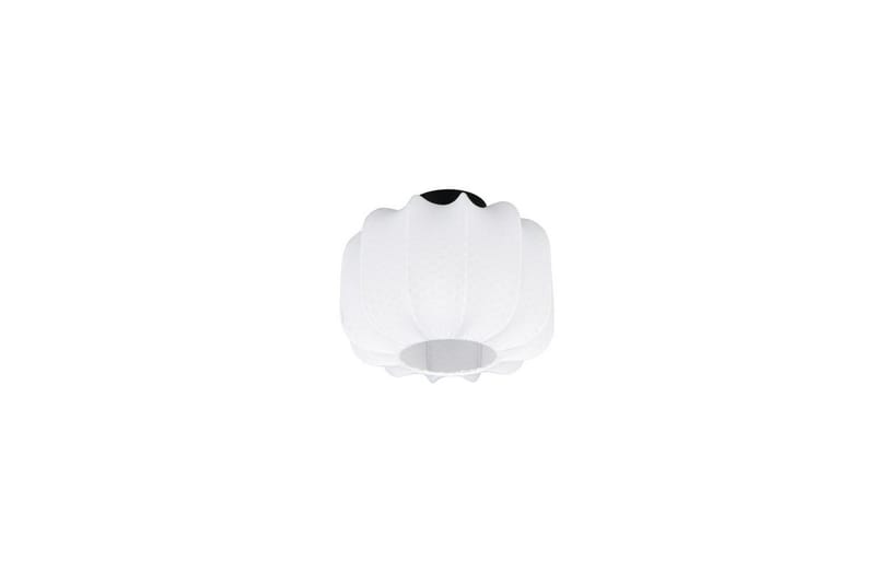 Taklampa TRIO Madeline 25 cm - 25 cm - Belysning - Inomhusbelysning & lampor - Taklampor & takbelysning - Plafond