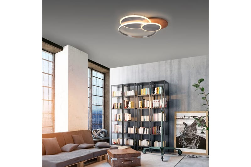 Taklampa Palma - 62,5x7x65 cm - Belysning - Inomhusbelysning & lampor - Taklampor & takbelysning - Plafond