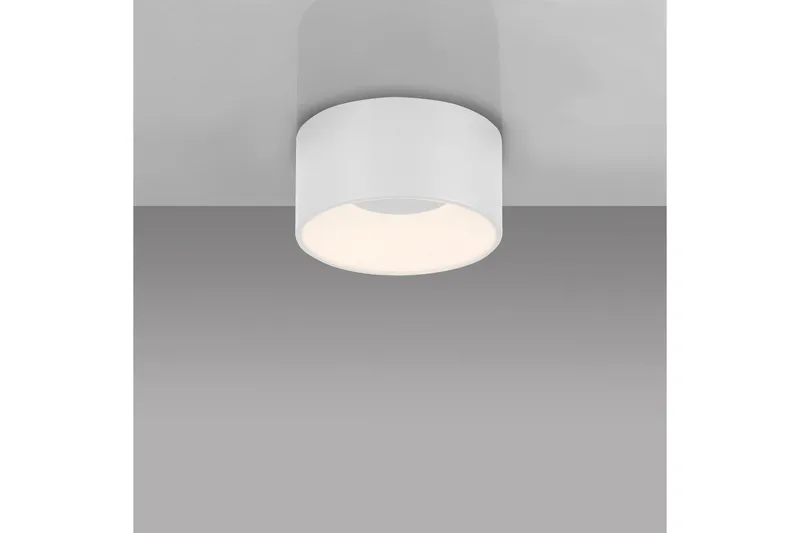 Tanika Just Light Taklampa - White - Belysning - Inomhusbelysning & lampor - Taklampor & takbelysning - Plafond