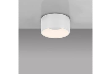 Tanika Just Light Taklampa - White - Belysning - Inomhusbelysning & lampor - Taklampor & takbelysning - Plafond