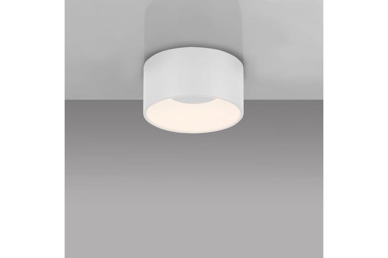 Tanika Just Light Taklampa - White - Belysning - Inomhusbelysning & lampor - Taklampor & takbelysning - Plafond