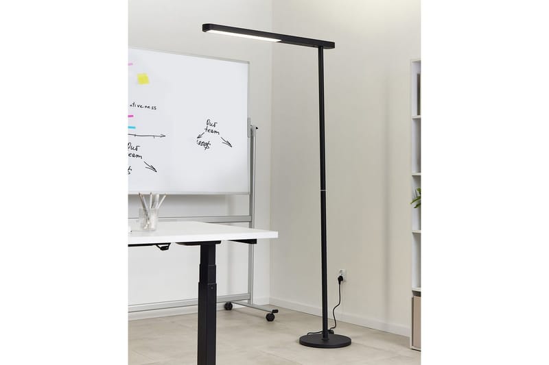 Temerra Golvlampa 186 cm - Svart - Belysning - Inomhusbelysning & lampor - Golvlampor & golvbelysning