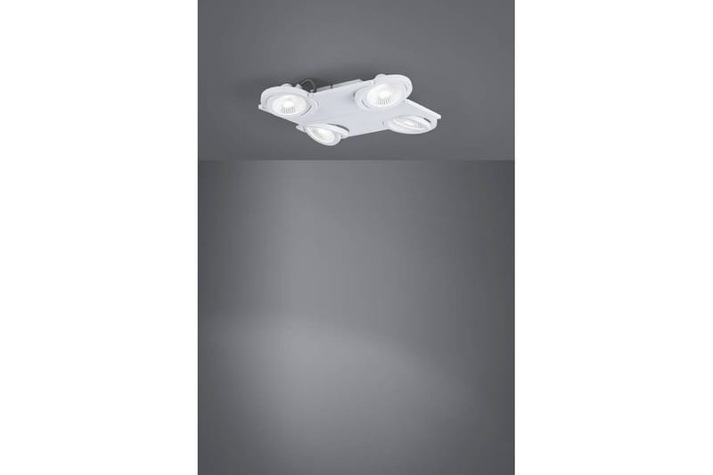 LED-spotlight Eglo Brea Vit - Vit - Belysning - Ljuskällor & glödlampor - Spotlights & downlights - Spotlight skena