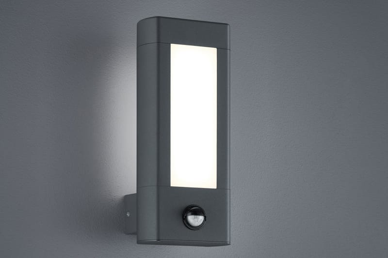 RHINE Vägglampa LED Vit, Antracit/Vit