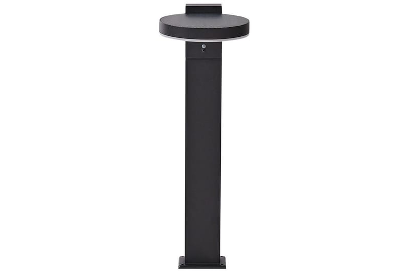 Hydra LED Solcellsbelysning 50 cm - Svart - Belysning - Utomhusbelysning - Solcellslampa & solcellsbelysning