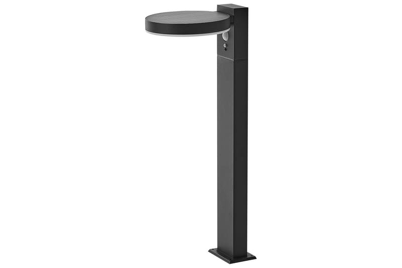 Hydra LED Solcellsbelysning 50 cm - Svart - Belysning - Utomhusbelysning - Solcellslampa & solcellsbelysning
