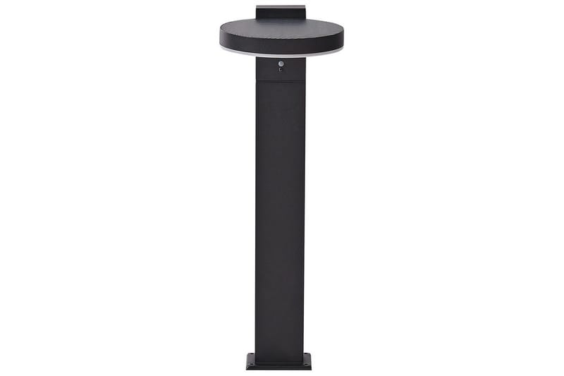 Hydra LED Solcellsbelysning 50 cm, Svart