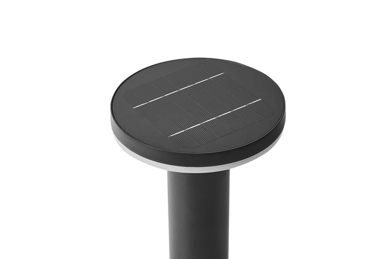 Naxel LED Solcellsbelysning 60 cm - Svart - Belysning - Utomhusbelysning - Solcellslampa & solcellsbelysning