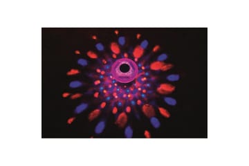 Övrigt friluftsliv Planet Pool Poollampa Planet Pool Flowclear LED Flytande - Belysning - Utomhusbelysning - Poolbelysning