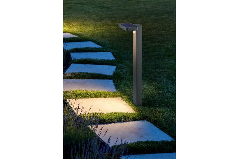 Pollare Esquel - Antracit - Belysning - Utomhusbelysning - Pollare