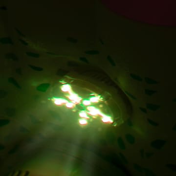 7-Color LED-light Vit - Belysning - Utomhusbelysning - Poolbelysning