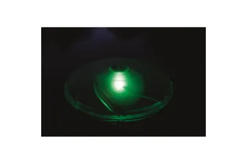 Solcellsbelysning Planet Pool Flowclear Flytande - Belysning - Utomhusbelysning - Poolbelysning