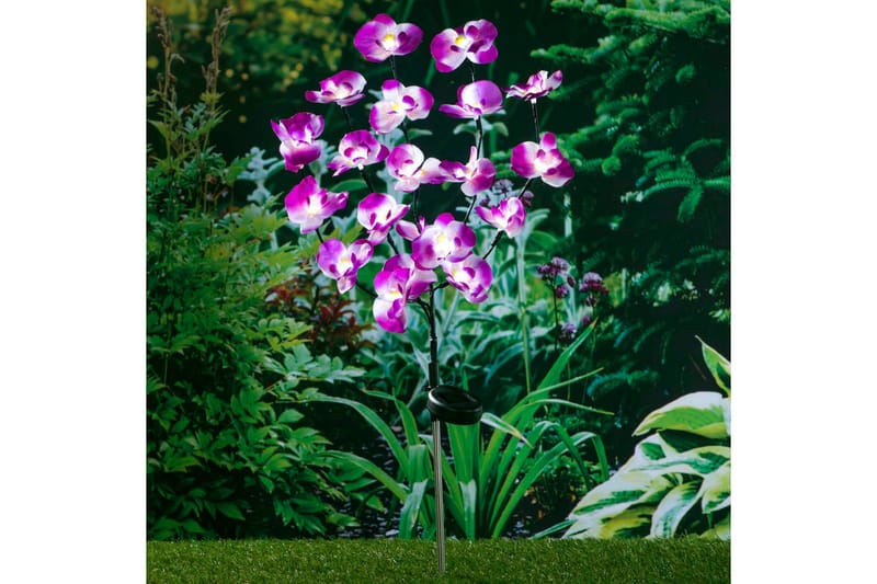 HI Soldriven LED-trädgårdslampa orkidé 75 cm - Lila - Solcellslampa & solcellsbelysning