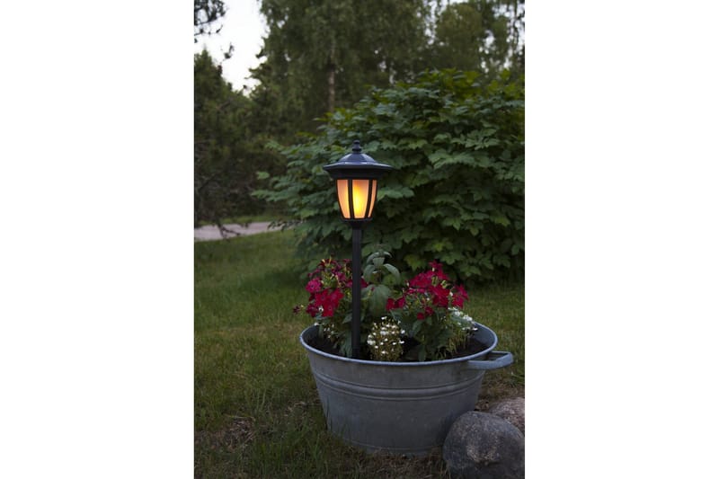 Star Trading Flame Solcellsbelysning 63 cm - Star Trading - Belysning - Utomhusbelysning - Solcellslampa & solcellsbelysning