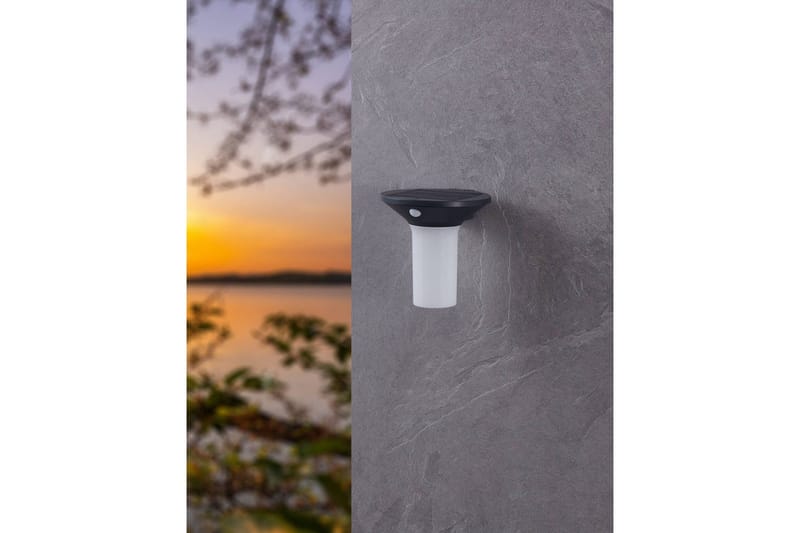 Vägglampa Utebelysning Eglo Corbezzola med Sensor - Antracit/Vit - Belysning - Utomhusbelysning - Solcellslampa & solcellsbelysning