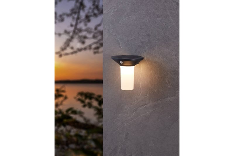 Vägglampa Utebelysning Eglo Corbezzola med Sensor - Antracit/Vit - Belysning - Utomhusbelysning - Solcellslampa & solcellsbelysning