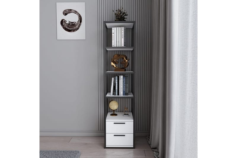 Desgrar Bokhylla 39x160 cm - Svart - Förvaring - Hyllor - Bokhylla