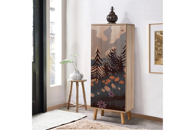 Gelsgan Skoskåp 50 cm, Flerfärgad