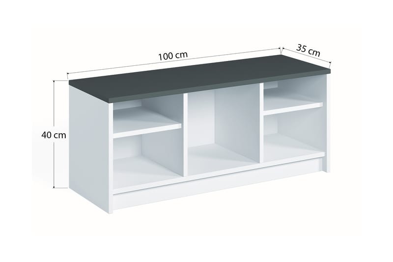 HARINGEY Skoskåp 100x35 cm Vit/Antracit - Skoförvaring - Bänk med skoförvaring