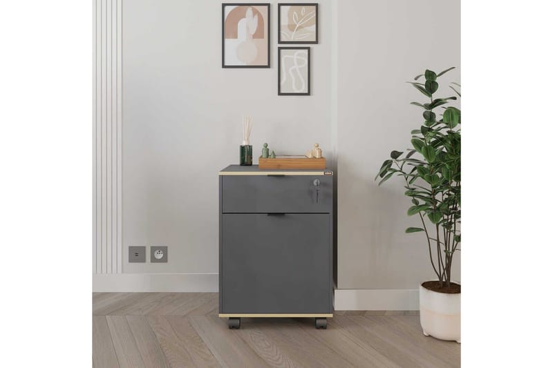 Flerfunktionsskåp Noriorsteadra Antracit / Ek - Gråfärgat trä/Antracit - Förvaring - Kontorsförvaring - Hurtsar