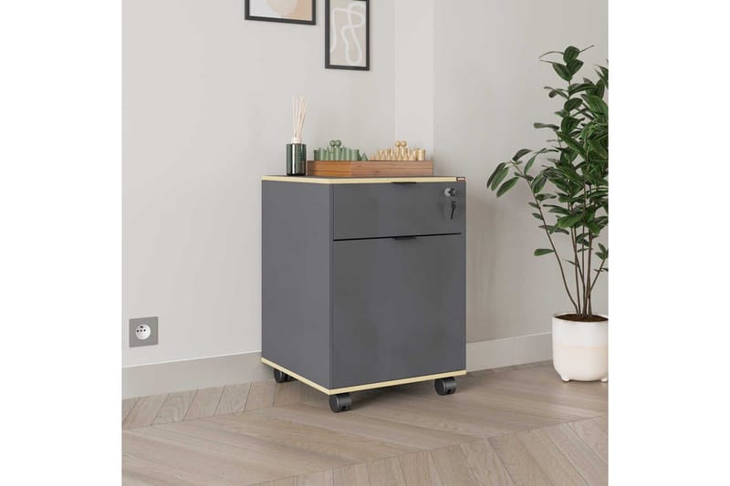 Flerfunktionsskåp Noriorsteadra Antracit / Ek - Gråfärgat trä/Antracit - Förvaring - Kontorsförvaring - Hurtsar