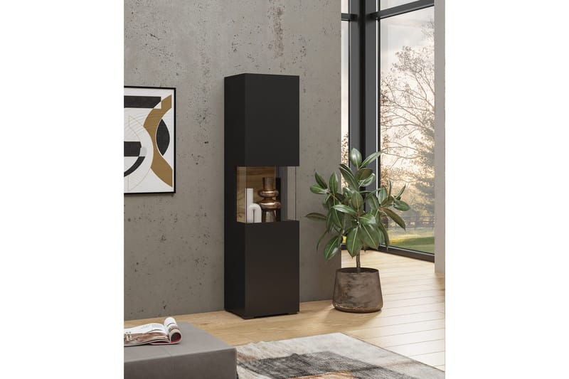 Jestine Smalt Vägghängt alt Fristående Vitrinskåp 30 cm djup 36 cm bred 140 cm hög Mörkt Trä, Svart