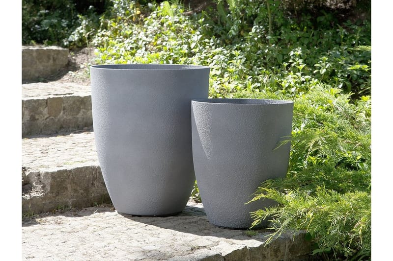 CROTON Kruka 43 cm - Inredning & dekor - Dekor & inredningsdetaljer